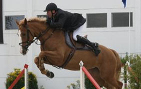 Cours d'obstacle équestre